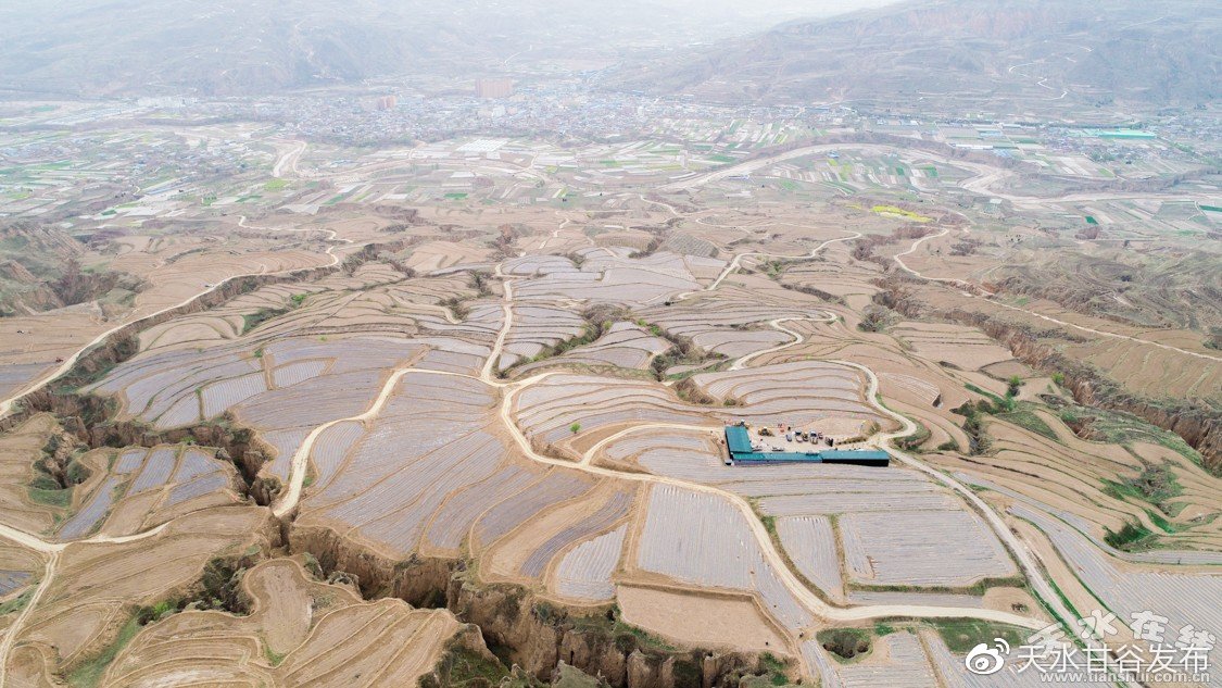 抖音赞最低自助下单平台：自助推广提升账号影响力的秘诀